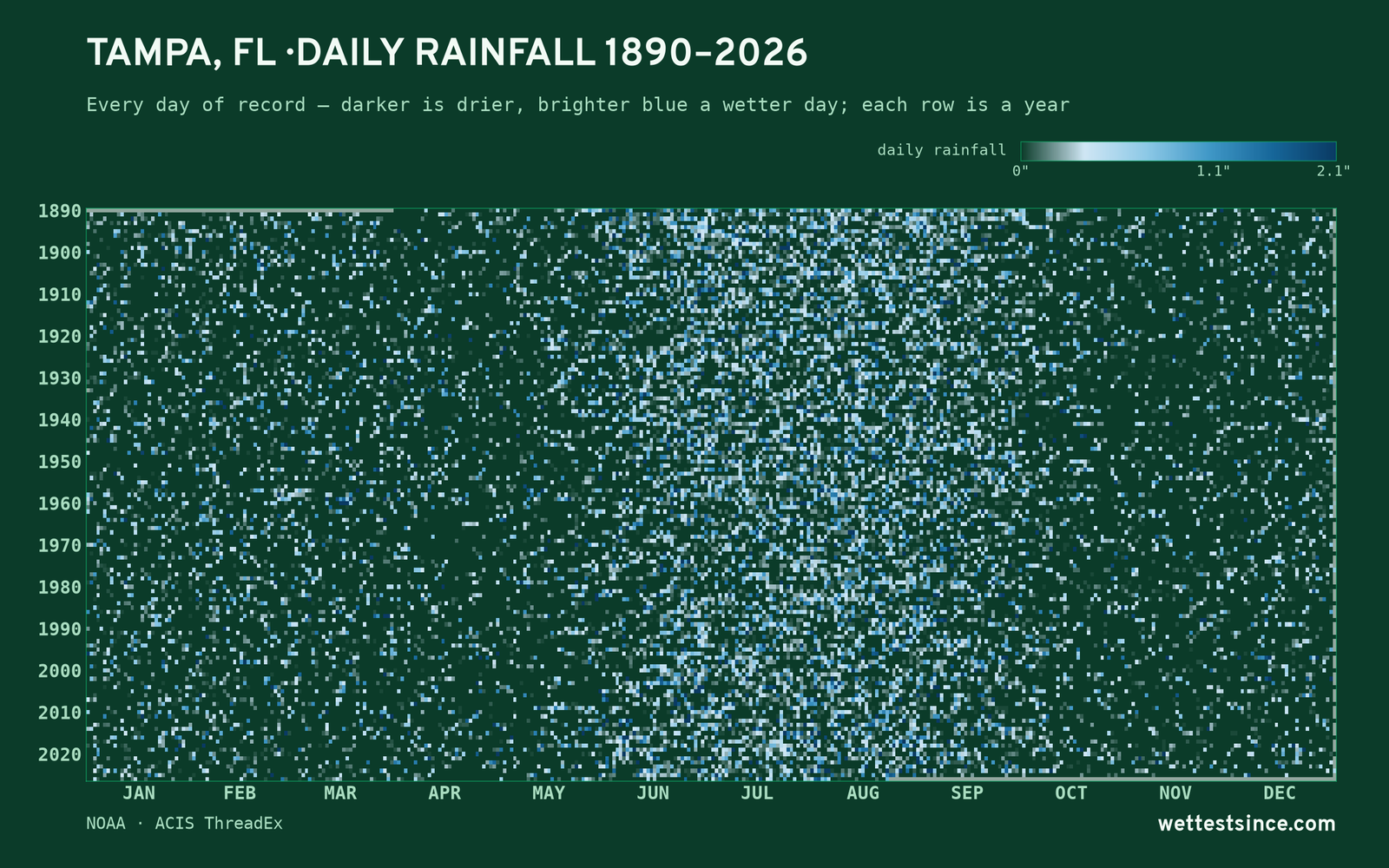 Tampa, FL — daily rainfall every day on record